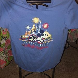 WDW Magic Kingdom 45th Anniversary